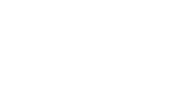 프라임 윈 logo