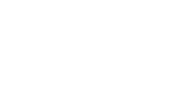 넷코어 솔루션 logo